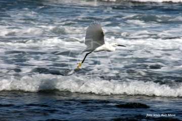 Un paseo con ensoñación en el inicio del verano por la costa de Telde (Reportaje gráfico Jesús Ruiz Mesa)